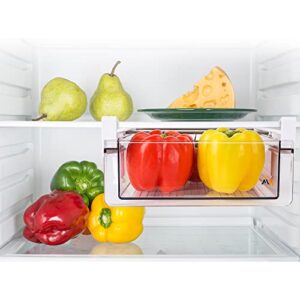 Modest Homeware Adjustable Fridge Organizer Food Storage Drawer - Strong Clear PET Plastic - Removable 28 Egg Holder Tray - Saves Space In Fridge - Fits Most Fridges - Easy Installation Transparent