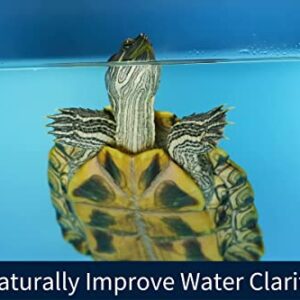 Snout & Shell Liquid Aquarium Cleaner for Turtles - Concentrated Bottle Treats 960 Gallons - Reduce Tank Maintenance & Improve Water Safety, 16 Oz