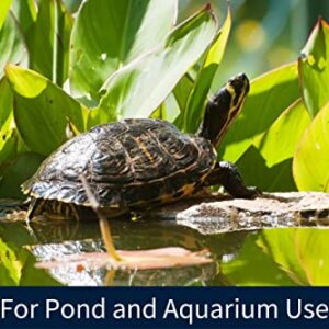 Snout & Shell Liquid Aquarium Cleaner for Turtles - Concentrated Bottle Treats 960 Gallons - Reduce Tank Maintenance & Improve Water Safety, 16 Oz