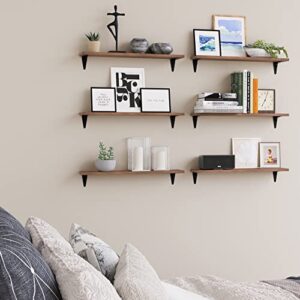 Wallniture Arras Floating Shelves for Wall, Bookshelves & Wall Storage Shelves for Living Room Decor, Office, Bedroom Walnut 24" Bookshelf Set of 6