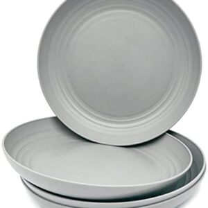 KITWILD Wheat Straw Plates, Unbreakable Dinner Plates, Lightweight Plastic Plates Reusable Plates Set, BPA free, Dishwasher & Microwave Safe, Perfect for Dinner Dishes (4 Pack, Gray)