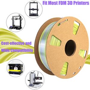 DD Silk PLA Filament Multicolor, 3D Printer Filament Two-Color PLA Filament 1.75mm +/- 0.03mm Bicolor Change 3D Printing Filament Spool/3.52lbs Silk Dichromatic 3D PLA Consumables Fit Most FDM Printer