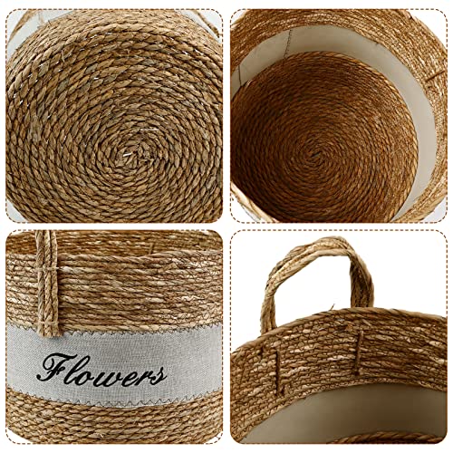 Babion 3 Pack Hand Woven Storage Baskets, Round Woven Baskets for Organizing, Decorative Basket with Handles, Plant Basket, Toy Storage Basket, Storage Baskets Laundry, Picnic, 3 Sizes