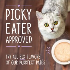 Stella & Chewy’s Carnivore Cravings Purrfect Pate Cans – Grain Free, Protein Rich Wet Cat Food – Chicken & Chicken Liver Recipe – (2.8 Ounce Cans, Case of 24)