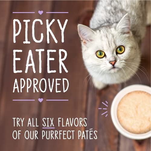 Stella & Chewy’s Carnivore Cravings Purrfect Pate Cans – Grain Free, Protein Rich Wet Cat Food – Chicken & Chicken Liver Recipe – (2.8 Ounce Cans, Case of 24)