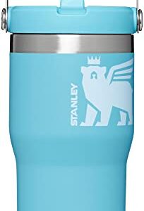 Stanley Classic IceFlow Flip Straw Tumbler for Kids (8 or Above), 20oz, Stan the Bear Stainless Steel Tumbler with Double-Wall Vacuum Insulation