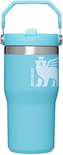 Stanley Classic IceFlow Flip Straw Tumbler for Kids (8 or Above), 20oz, Stan the Bear Stainless Steel Tumbler with Double-Wall Vacuum Insulation