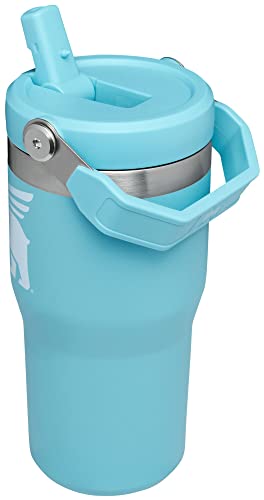 Stanley Classic IceFlow Flip Straw Tumbler for Kids (8 or Above), 20oz, Stan the Bear Stainless Steel Tumbler with Double-Wall Vacuum Insulation