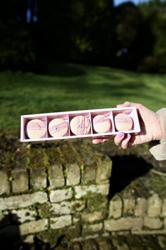 OLBAA Macaron Gift Box. Holds 5 Macarons. Perfect for painted and decorated macarons. 10 pack … (macaron 5 blossom pink)