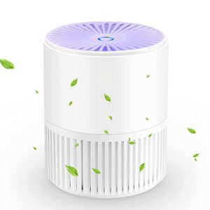 smart air purifiers for home - air cleaner with hepa filter filters out 99.97% dust, dander, smoke, odor for home, bedroom, living room, kitchen ultra quiet and effective