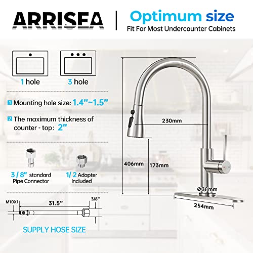 ARRISEA Bar Faucets, RV Faucets, Double Bowl Kitchen Sink Faucet with 10'' Deck Plate, Brushed Nickel Single Handle Laundry Sink Faucet with Three Modes Sprayer, Farmhouse Tap, Outdoor Sink Tap