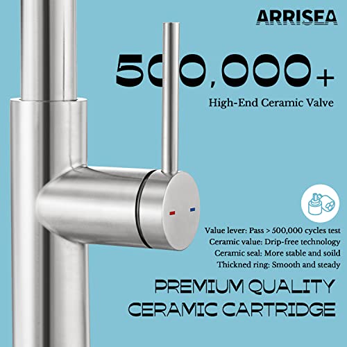 ARRISEA Bar Faucets, RV Faucets, Double Bowl Kitchen Sink Faucet with 10'' Deck Plate, Brushed Nickel Single Handle Laundry Sink Faucet with Three Modes Sprayer, Farmhouse Tap, Outdoor Sink Tap