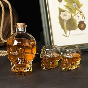 Skull decanter set-With 2 Skull glass vodka glass for Scotch, Bourbon, Liquor and Cocktail（750ML) Transparent