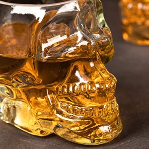 Skull decanter set-With 2 Skull glass vodka glass for Scotch, Bourbon, Liquor and Cocktail（750ML) Transparent