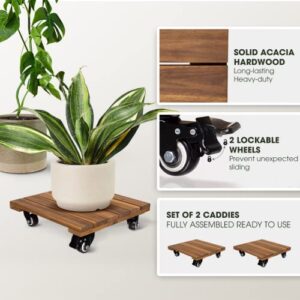 Idzo Square Wood Plant Caddy With Wheels, Set of 2 Acacia Hardwood Plant Dolly - Plant Stand with 360° Lockable Wheels - Natural Wood, Golden Teak 12 x 12 x 3.2 Inch