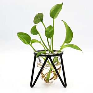 plant terrarium with metal stand, desktop air planter bulb glass vase for indoor live hydroponics plants home garden office decoration