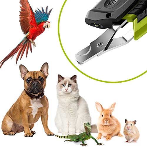 Pecute Cat Nail Clipper with Adjustable Light, Cat Nail Trimmer with Sharp Stainless Steel, Curved Head, LED Pet Nail Clippers for Cats, Kitten, Rabbit, Small Dog, Bird, Ferret, and Small Animals