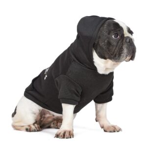 Friends the TV Show WB Friends Dog Hoodie, Black with Friends Logo, Size Medium with Hood and Pocket for Treats or Waste Bags | Friends Show Pet Products| Pet Clothes for Friends Lovers (FF20719)