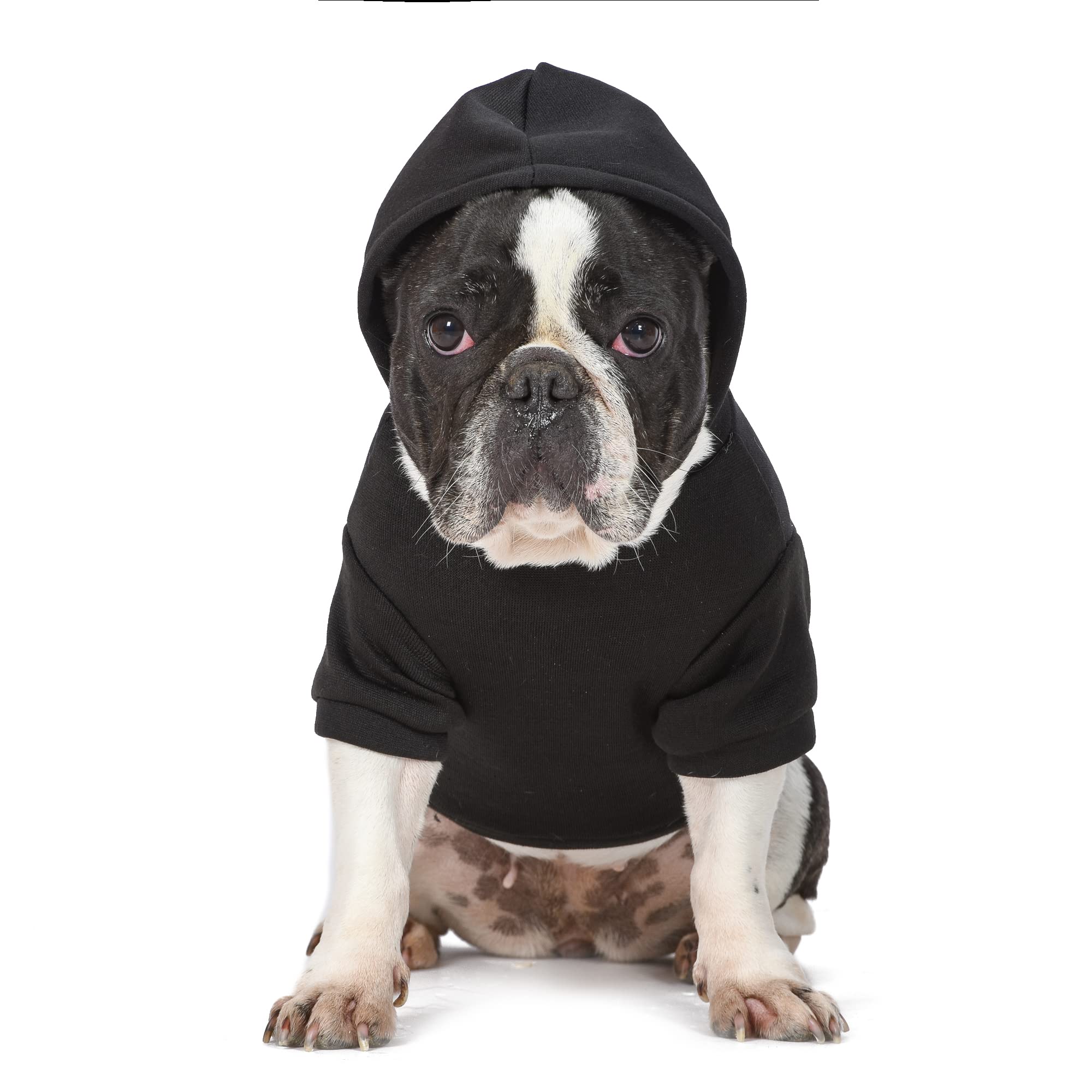 Friends the TV Show WB Friends Dog Hoodie, Black with Friends Logo, Size Medium with Hood and Pocket for Treats or Waste Bags | Friends Show Pet Products| Pet Clothes for Friends Lovers (FF20719)