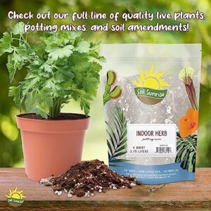 All Natural Seed Starting Mix (4 Quarts), Expert Grade Seed Starter Potting Mix, Start Herbs, Vegetables, and Other Grass