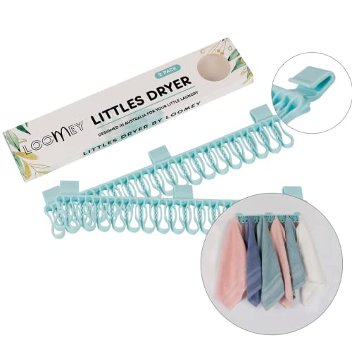 Loomey Plastic Laundry Dryer Hanger Clips, Perfect for Socks, Underwear, Modern Nappies, Baby and Small Clothes, Durable Sturdy Grip Slip Resistant Drying Clothesline pegs(2X17 Pins) - Mint