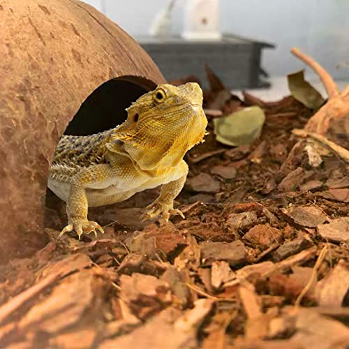 BNOSDM Reptile Bark Bedding Lizard Natural Wood Granule Substrate Clean Breeding and Bedding Flooring for Lizard Bearded Dragon Gecko Chameleon Tortoise