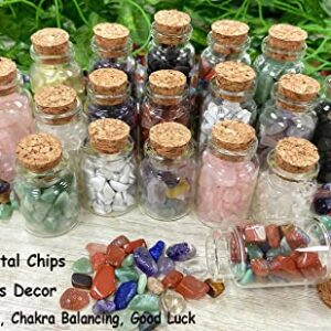 XIANNVXI Aquarium Gravel Rocks Fluorite Tumbled Chips Stone Crystals Pebbles Succulent Fish Tank Decorative Stones Natural Healing Crystals Bulk 0.87 lbs