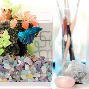 XIANNVXI Aquarium Gravel Rocks Fluorite Tumbled Chips Stone Crystals Pebbles Succulent Fish Tank Decorative Stones Natural Healing Crystals Bulk 0.87 lbs