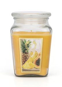 pineappple-papaya long lasting highly scented fragrance candle 18oz premium natural soy blend
