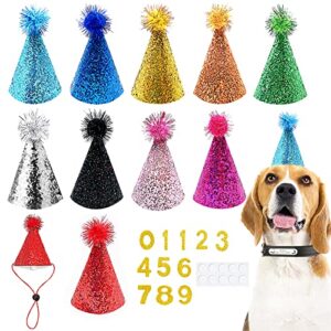 pet show 10pcs small dog birthday hat set for boys girls medium large dogs cat kitten puppies party hats with 0-9 numbers 10 glue grooming accessories