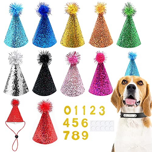 PET SHOW 10pcs Small Dog Birthday Hat Set for Boys Girls Medium Large Dogs Cat Kitten Puppies Party Hats with 0-9 Numbers 10 Glue Grooming Accessories