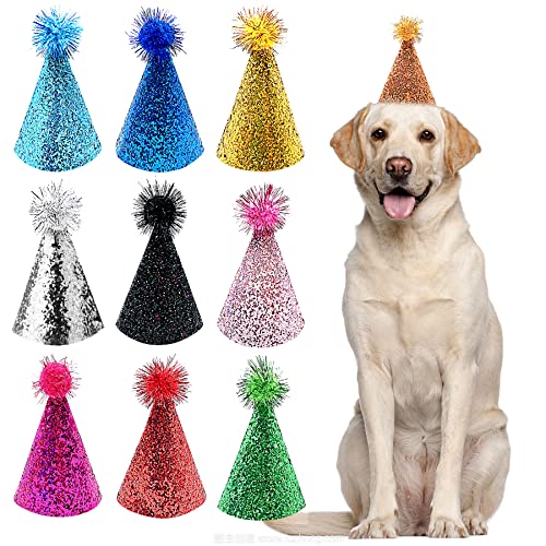 PET SHOW 10pcs Small Dog Birthday Hat Set for Boys Girls Medium Large Dogs Cat Kitten Puppies Party Hats with 0-9 Numbers 10 Glue Grooming Accessories