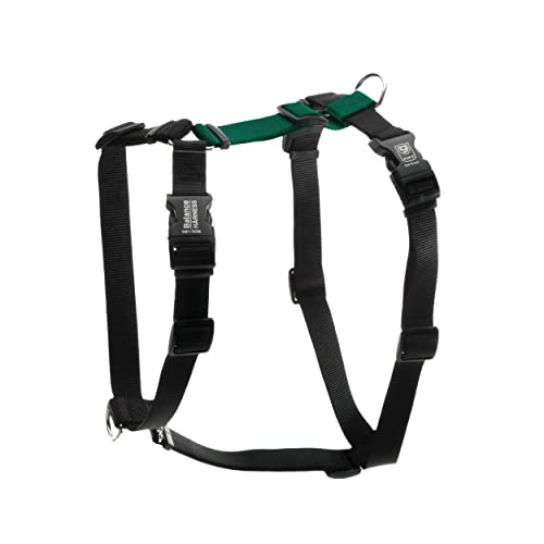 Blue-9 Buckle-Neck Balance Harness, Fully Customizable Fit No-Pull Harness, Ideal for Dog Training and Obedience, Made in The USA, Hunter Green, Medium