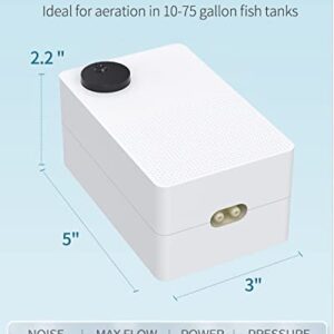 Pawfly 64 GPH Aquarium Air Pump with Dual Outlets Adjustable Quiet Oxygen Aerator Pump with Airline Tubing Air Stone Connector and Check Valve Accessories for Fish Tanks up to 75 Gallons