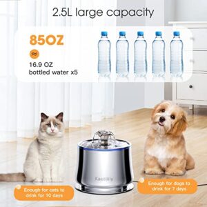 Stainless Steel Cat Water Fountain, 84oz/2.5L Pet Water Fountain BPA-Free, Flower Mode Automatic Stainless Steel Water Fountain for Cats Inside, Metal Cat Fountain with USB Adapter, Clean Brush&Cloth