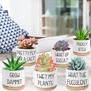 Succulent Pots 6 Pack, 3.15” Ceramic Funny Succulent Planters with Drainage and Bamboo Tray, Small Plant Pots with Plant Labels for Indoor Outdoor Plant, Birthday Gifts for Women - Plants Not Included