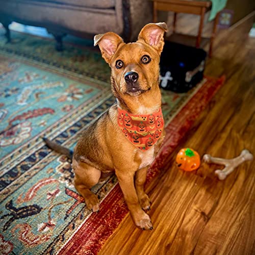 2 Pack Dog Bandana Halloween, Triangle Bibs Scarf for Halloween, Holiday Pet Neckerchief for Dogs Pets