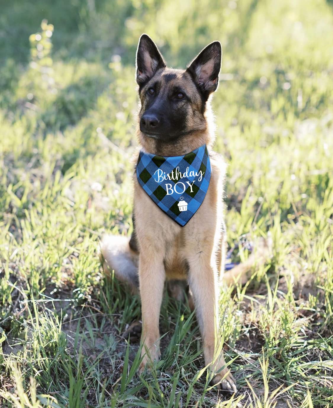 Funny Blue Plaid Cotton Pet Dog Bandana, Birthday Boy Dog Scarf Gender Reveal Photo Prop Accessories Birthday Party for Pet Dog Master Lovers Owner Gift