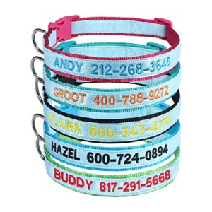 wlitchi personalized reflective dog collars, custom glowing luminous id collar embroidered name and phone number 4 adjustable sizes x-small small medium large for boy and girl dogs (fluorescent glow)