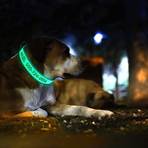 Wlitchi Personalized Reflective Dog Collars, Custom Glowing Luminous ID Collar Embroidered Name and Phone Number 4 Adjustable Sizes X-Small Small Medium Large for Boy and Girl Dogs (Fluorescent Glow)