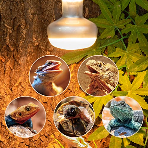 REPTI ZOO 2 Pack Reptile Heat Lamp, 75W Reptile Basking Bulb Simulate Natural Sunlight Heating Lamp Bulb, UVA Heat Lamp Bulb for Reptiles Chickens Heating Use