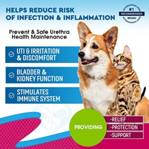 Cat & Dog Urinary Tract Infection Treatment & Natural UTI Medicine Cranberry-Kidney+Bladder Support Supplement - Best Prevention Incontinence, Bladder Stones - Pet Renal Health & UTI Care Drops