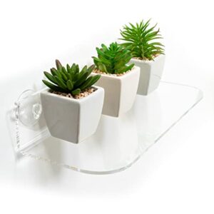 jamborum window garden double ledge acrylic with suction cups