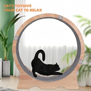 Cat Wheel, Cat Treadmill, Exercise Wheel, Cute Cat Furniture, Pet Toy, Cat Toy, Cats Loss Weight Device (Large)