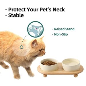 Havniva Ceramic Elevated Cat Food and Water Bowl , Kitty Bowl , Raised Cat Dish , Cat Feeder (2 x Cream White + Stand)