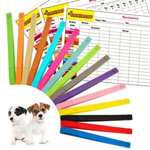 caninary 15 different colored puppy collars for litter with 6 record keeping charts, adjustable puppy collars for small puppies, serving as soft nylon puppy identification collars