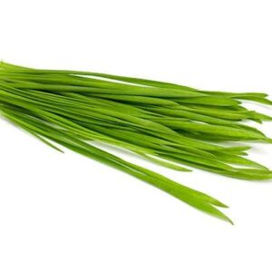 Todd's Seeds Wheatgrass Seeds; Hard Red Winter Wheat, Non-GMO, Chemical Free, High Germination (1/4 Pound)