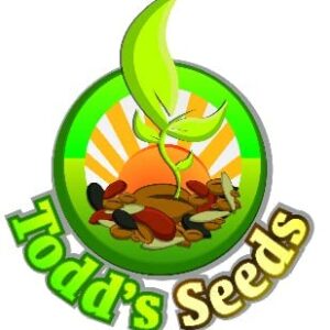 Todd's Seeds Wheatgrass Seeds; Hard Red Winter Wheat, Non-GMO, Chemical Free, High Germination (1/4 Pound)