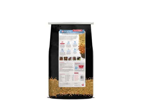 Purina | RepleniMash™ Product | Horse Mash (7 lb)