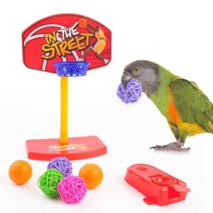 ActionEliters Bird Toys for Parakeets, 6pcs Parrot Toys Set with Bird Basketball Toy, Bird Skateboard, Bird Trolley, Bird Ring Bucket Toys, Parakeet Toys for Bird Training Toys